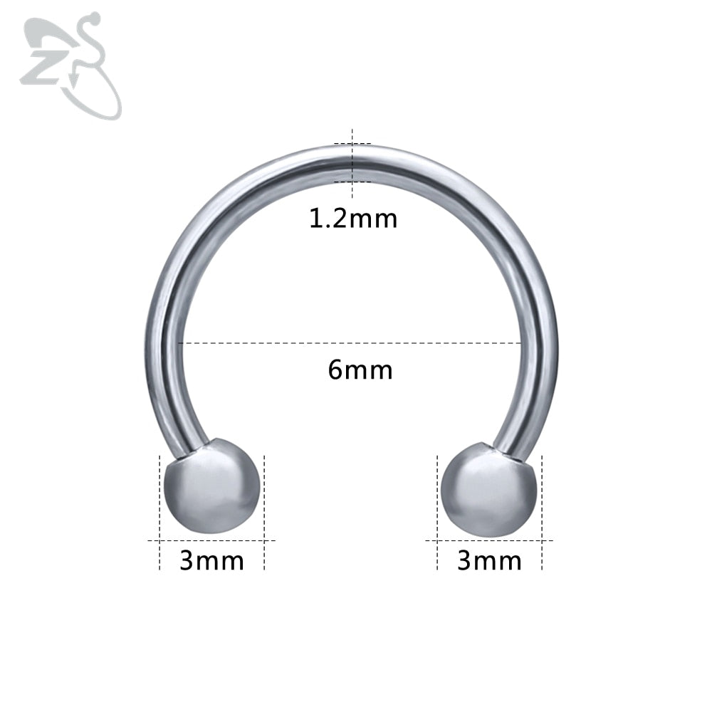 ZS 1 PC 316L Stainless Steel Nose Ring 14G 16G Nose Piercings Helix Ear Piercing Women Men Septum Rings Body Piercing Jewelry