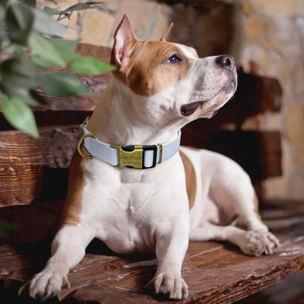 Personalized Dog Collar Nylon Small Large Dogs Puppy Collars Engrave Name ID for Small Medium Large Pet Pitbull Chihuahua Pink