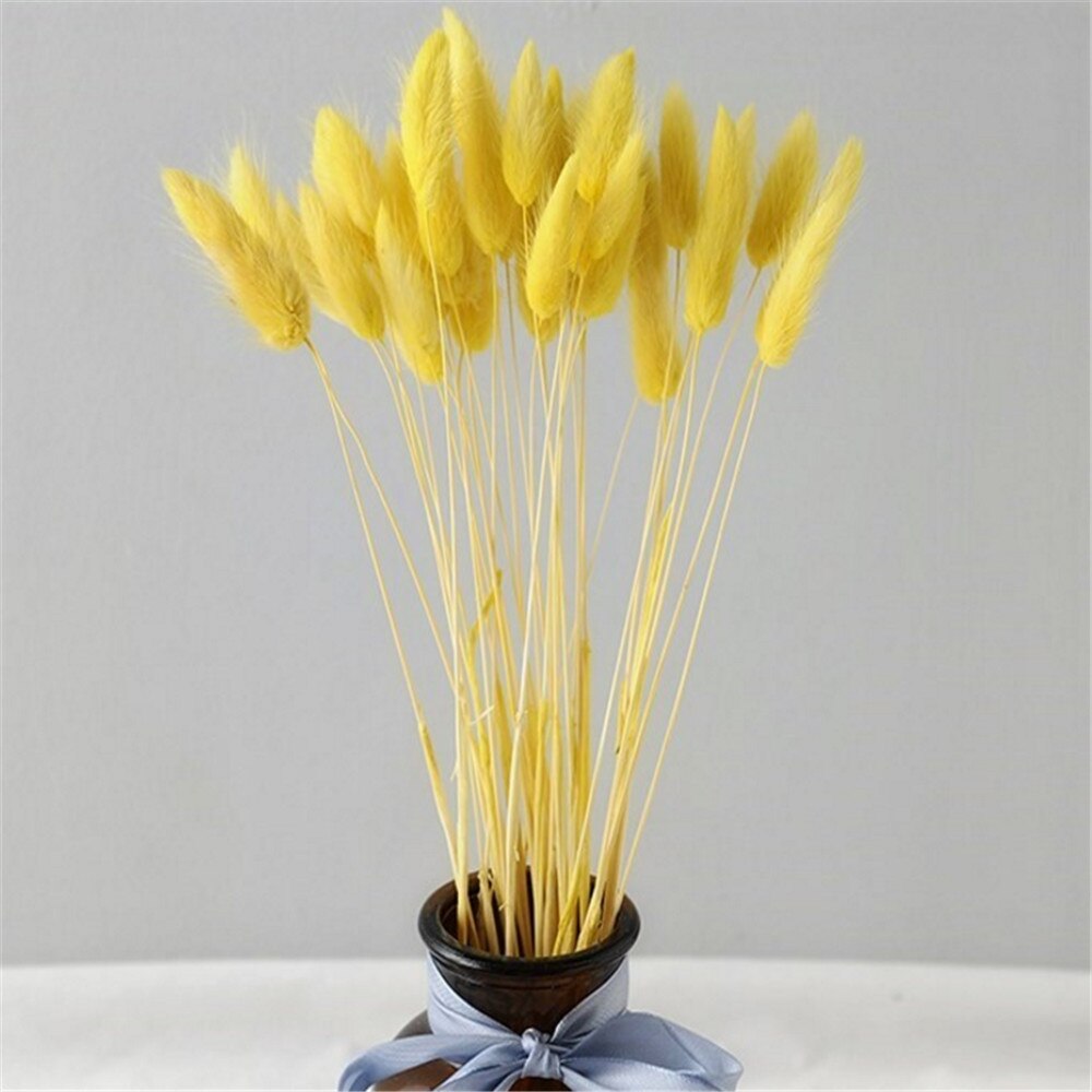 50 Pcs Pink Color Dried Pampas Flowers Rabbit Tail Grass Bouquets Lagurus Ovatus Natural Plants Home Wedding Decor Bunches