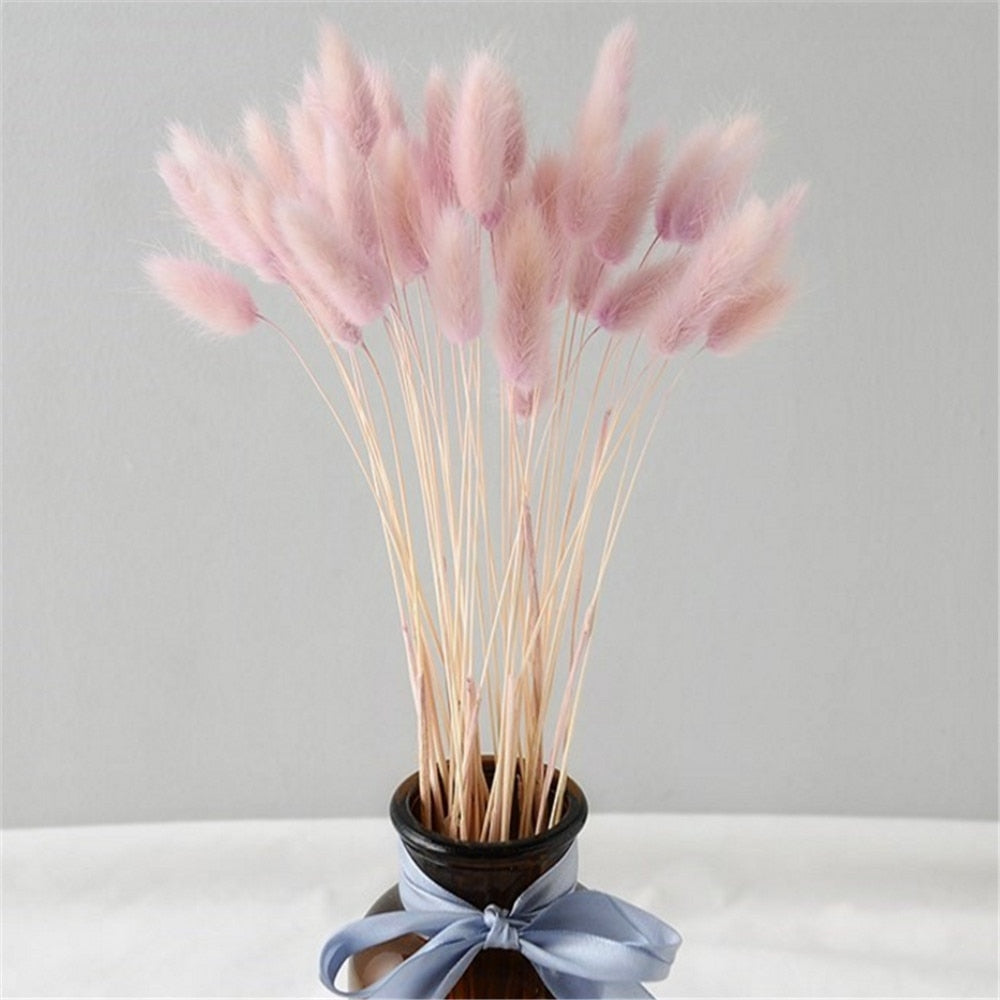 50 Pcs Pink Color Dried Pampas Flowers Rabbit Tail Grass Bouquets Lagurus Ovatus Natural Plants Home Wedding Decor Bunches