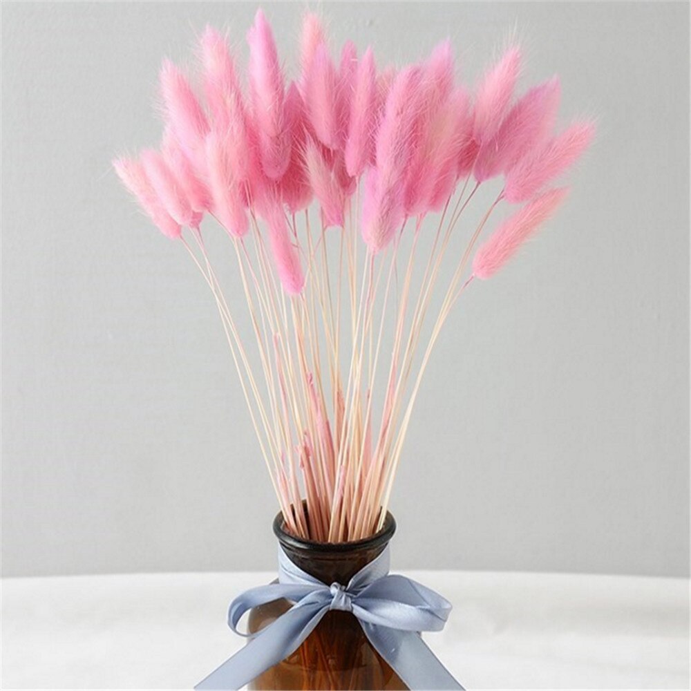 50 Pcs Pink Color Dried Pampas Flowers Rabbit Tail Grass Bouquets Lagurus Ovatus Natural Plants Home Wedding Decor Bunches