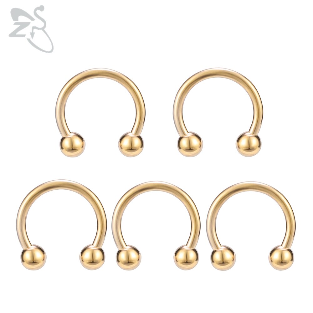 ZS 5 Pcs/lot Stainless Steel Nose Ring Spike Nose Piercings Helix Ear Piercing For Women Men Septum Rings Body Piercing Jewelry