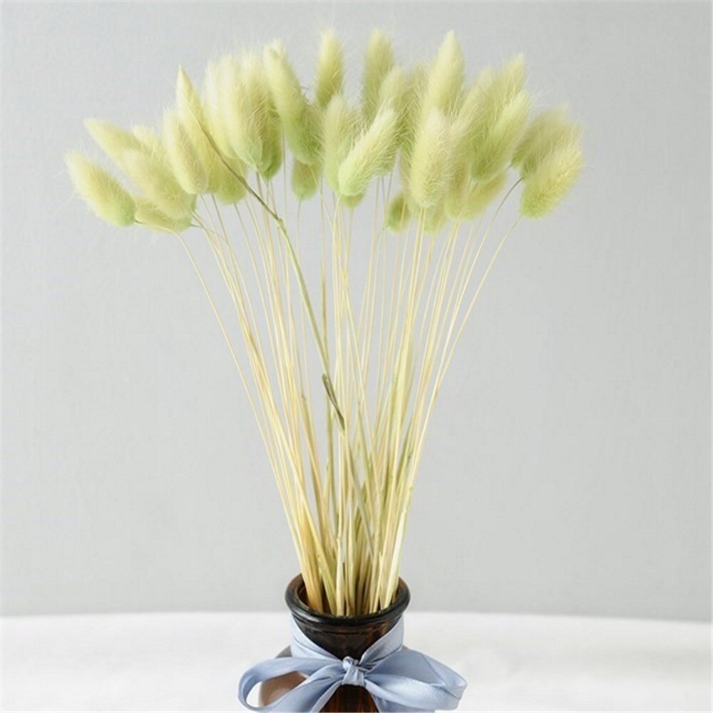 50 Pcs Pink Color Dried Pampas Flowers Rabbit Tail Grass Bouquets Lagurus Ovatus Natural Plants Home Wedding Decor Bunches