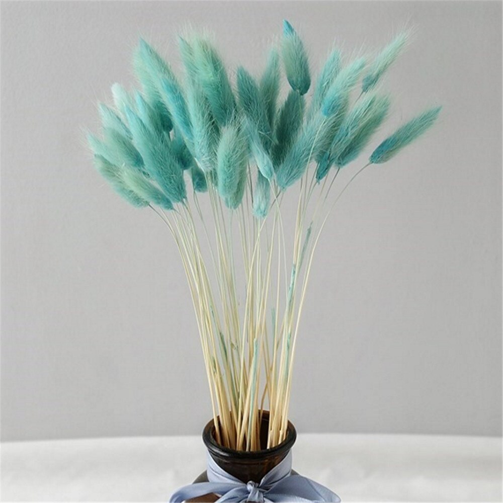 50 Pcs Pink Color Dried Pampas Flowers Rabbit Tail Grass Bouquets Lagurus Ovatus Natural Plants Home Wedding Decor Bunches