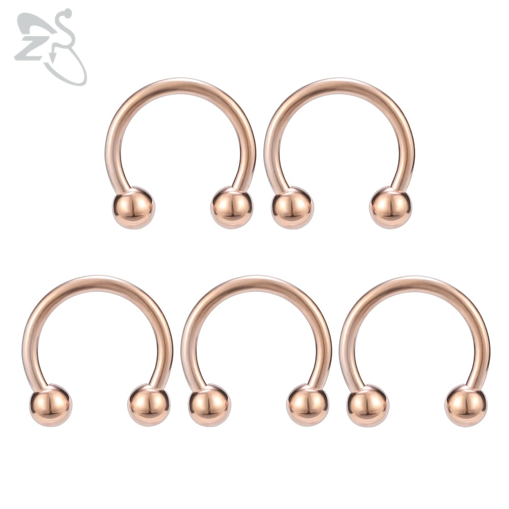 ZS 5 Pcs/lot Stainless Steel Nose Ring Spike Nose Piercings Helix Ear Piercing For Women Men Septum Rings Body Piercing Jewelry