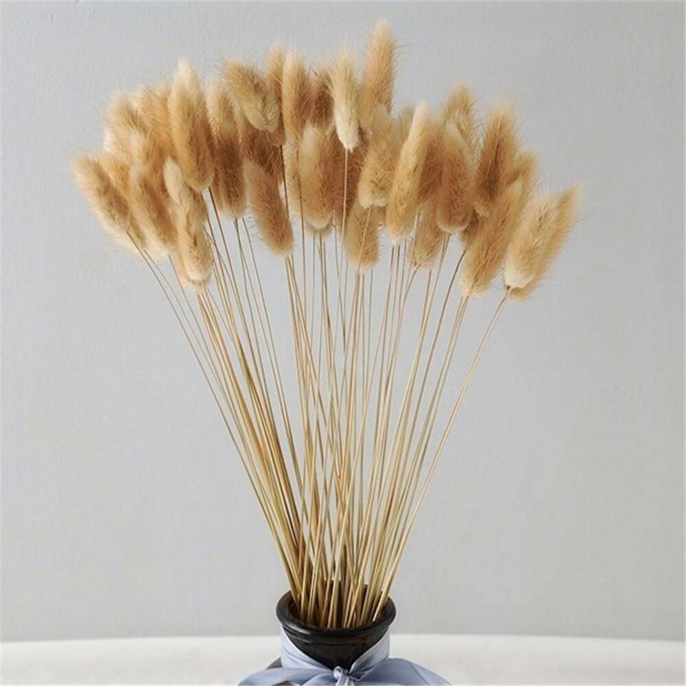50 Pcs Pink Color Dried Pampas Flowers Rabbit Tail Grass Bouquets Lagurus Ovatus Natural Plants Home Wedding Decor Bunches