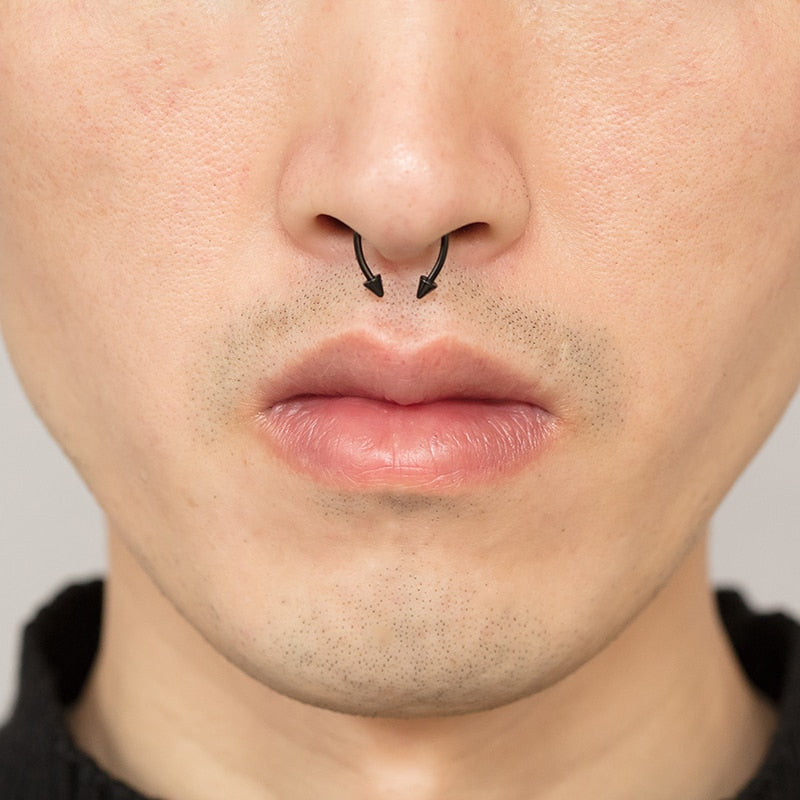 Fake Nose Ring Non Piercing Horseshoe Septum Piercing Magnetic Hoop Stainless Steel Reusable Magnet Punk for Women Jewelry Gifts