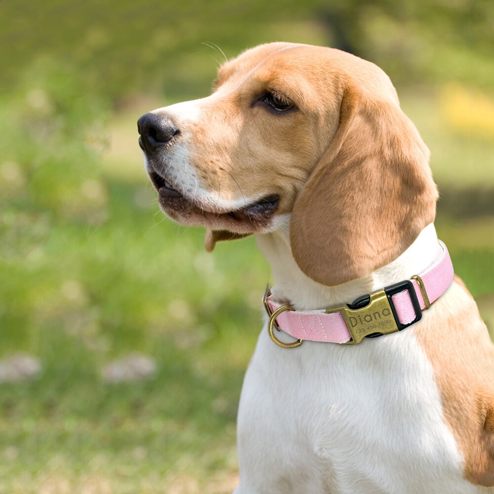 Personalized Dog Collar Nylon Small Large Dogs Puppy Collars Engrave Name ID for Small Medium Large Pet Pitbull Chihuahua Pink