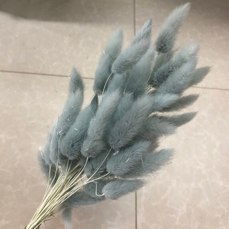 50 Pcs Pink Color Dried Pampas Flowers Rabbit Tail Grass Bouquets Lagurus Ovatus Natural Plants Home Wedding Decor Bunches