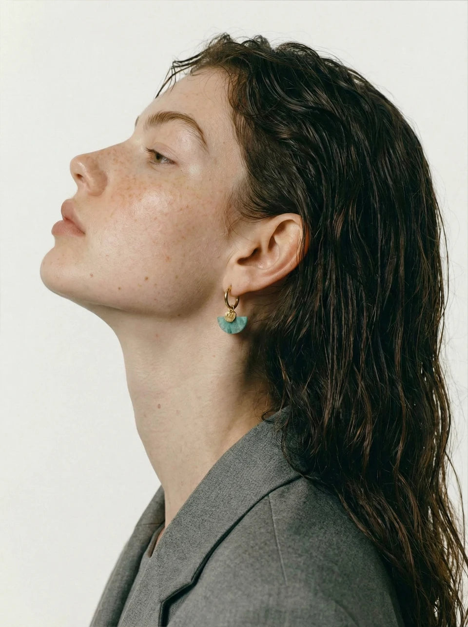 Natural Stone Fan Drop Hoop Earrings, Tiger Eye Agate French Stainless Steel Jewelry