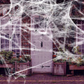 Halloween Decoration Party Accessories Decorations for Events Scream Festa Spider Web Black Outdoor Props Haunted House Spider - Charlie Dolly