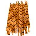 25/50/100pcs Halloween Party Favors Paper Straws Black and Orange Party Biodegradable Drinking Stripe Straws for Halloween - Charlie Dolly