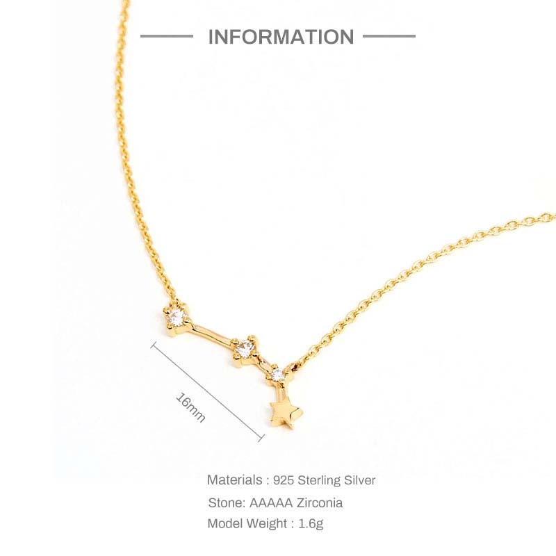 Aide 925 Sterling Silver Zodiac Sign 12 Constellation Pendant Necklaces Sparkling Zircon Charm Necklace for Women Birthday Gift