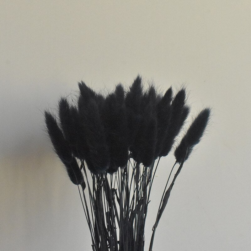 50 Pcs Pink Color Dried Pampas Flowers Rabbit Tail Grass Bouquets Lagurus Ovatus Natural Plants Home Wedding Decor Bunches