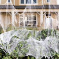 Halloween Decoration Party Accessories Decorations for Events Scream Festa Spider Web Black Outdoor Props Haunted House Spider - Charlie Dolly