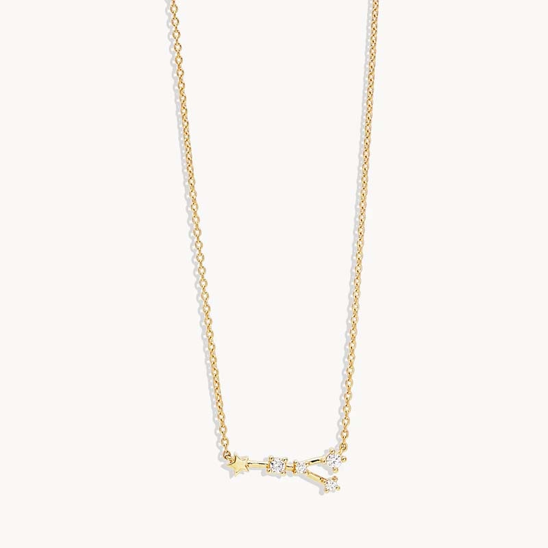 Aide 925 Sterling Silver Zodiac Sign 12 Constellation Pendant Necklaces Sparkling Zircon Charm Necklace for Women Birthday Gift