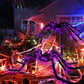 Light-up Spider Halloween Decoration,Big Lighted Spider for Scary Halloween Outdoor Indoor Yard Home Party Haunted House Décor - Charlie Dolly