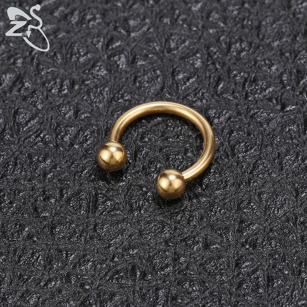 ZS 1 PC 316L Stainless Steel Nose Ring 14G 16G Nose Piercings Helix Ear Piercing Women Men Septum Rings Body Piercing  Jewelry - Charlie Dolly