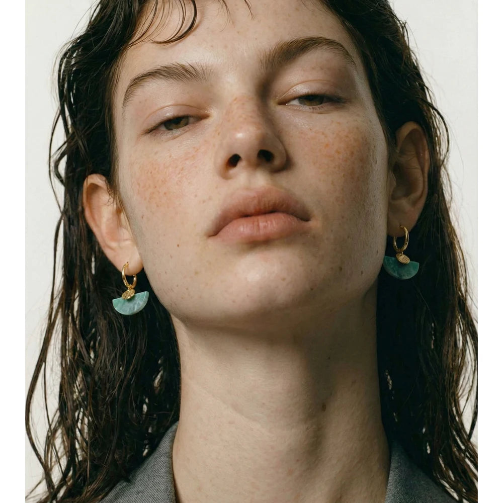 Natural Stone Fan Drop Hoop Earrings, Tiger Eye Agate French Stainless Steel Jewelry