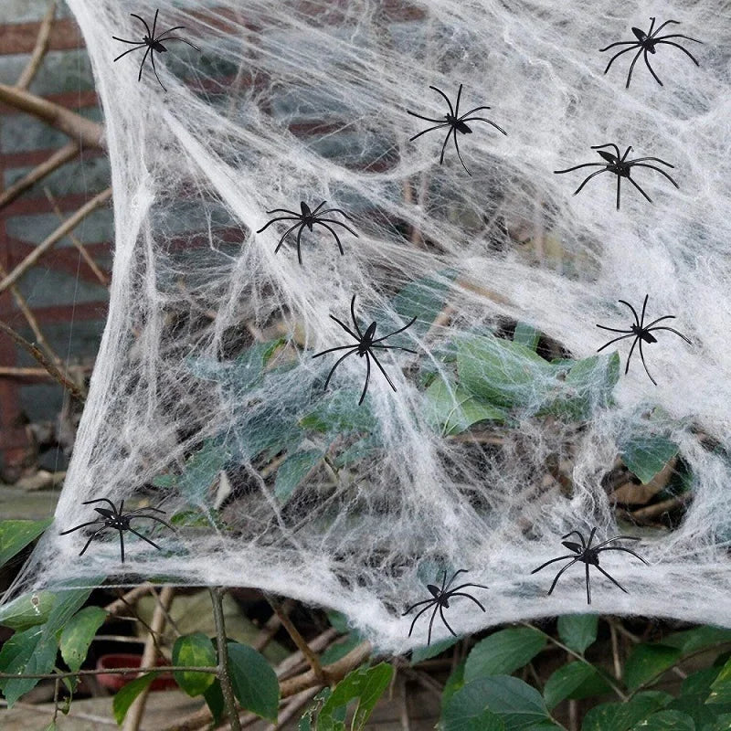 Halloween Decoration Party Accessories Decorations for Events Scream Festa Spider Web Black Outdoor Props Haunted House Spider - Charlie Dolly