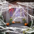 Halloween Decoration Party Accessories Decorations for Events Scream Festa Spider Web Black Outdoor Props Haunted House Spider - Charlie Dolly