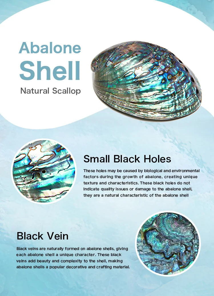S925 Sterling Silver Hecate Wheel Pendant Necklace, Abalone Triple Moon Goddess Wiccan Amulet
