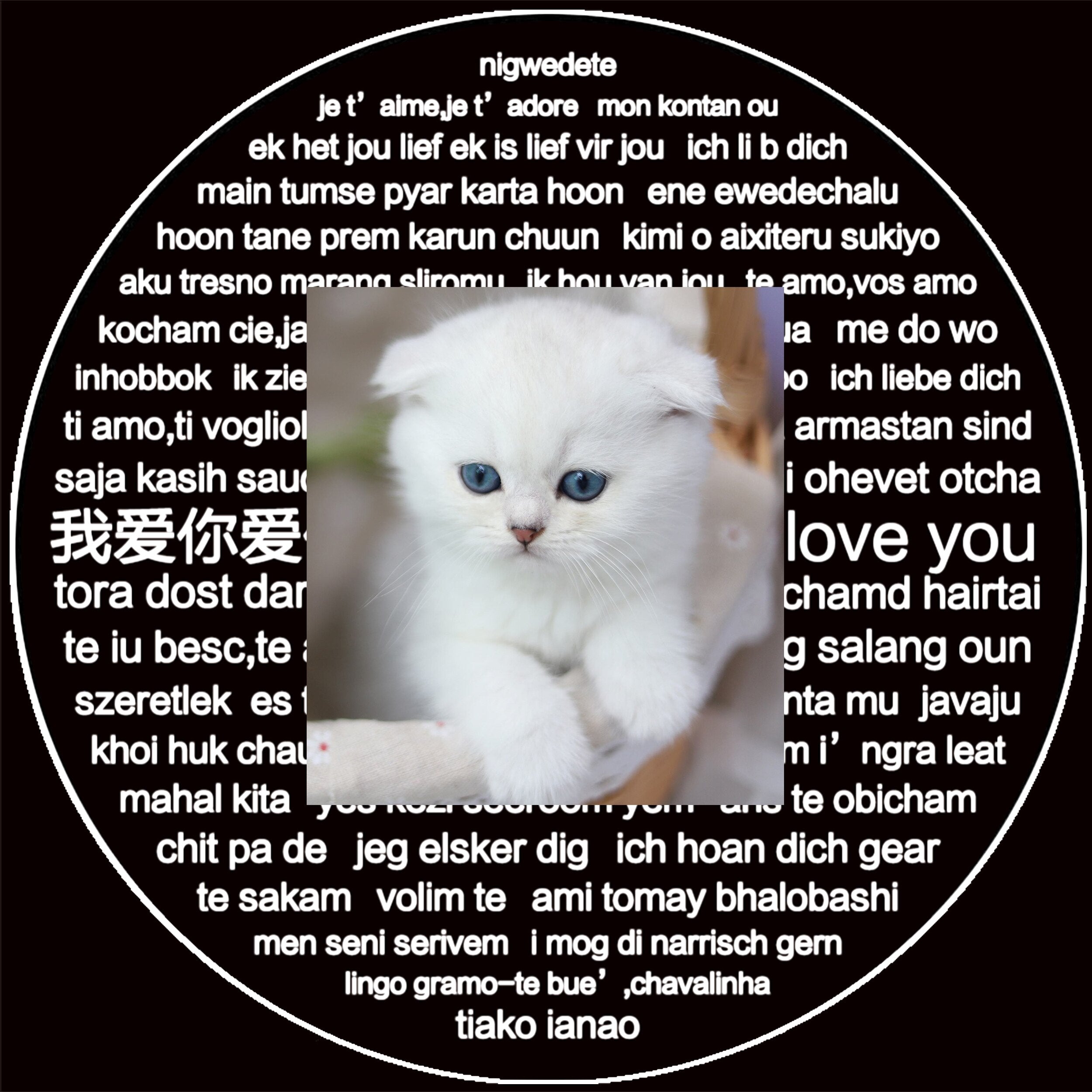 925 Silver Personalized Photo Projection Necklace Gold Petal Sunflower Flower Pendant Customized Photo Jewelry For Women - Charlie Dolly