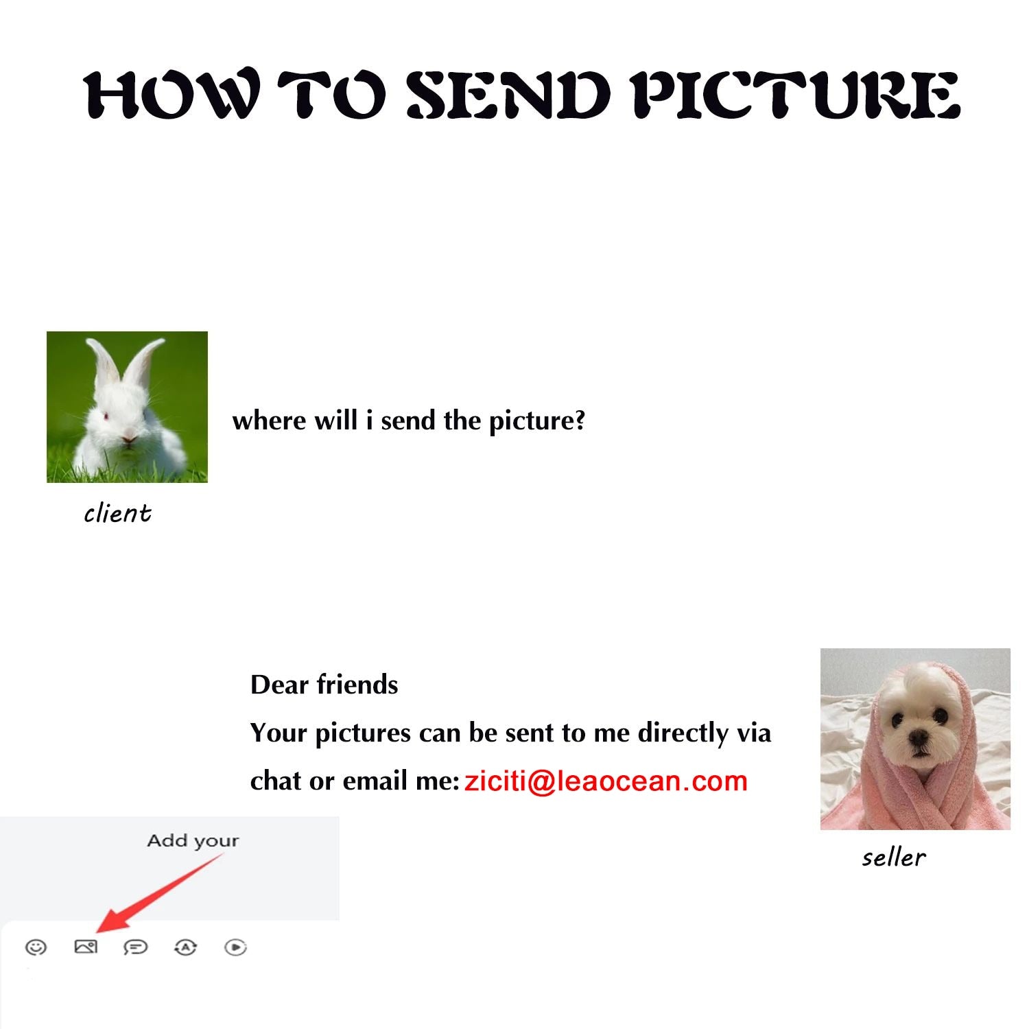 Custom Projection Necklace Photo Pendant Necklace-Dog/Cat Paw Charm Necklace with Picture Inside-Projection Pet Photo Necklace - Charlie Dolly