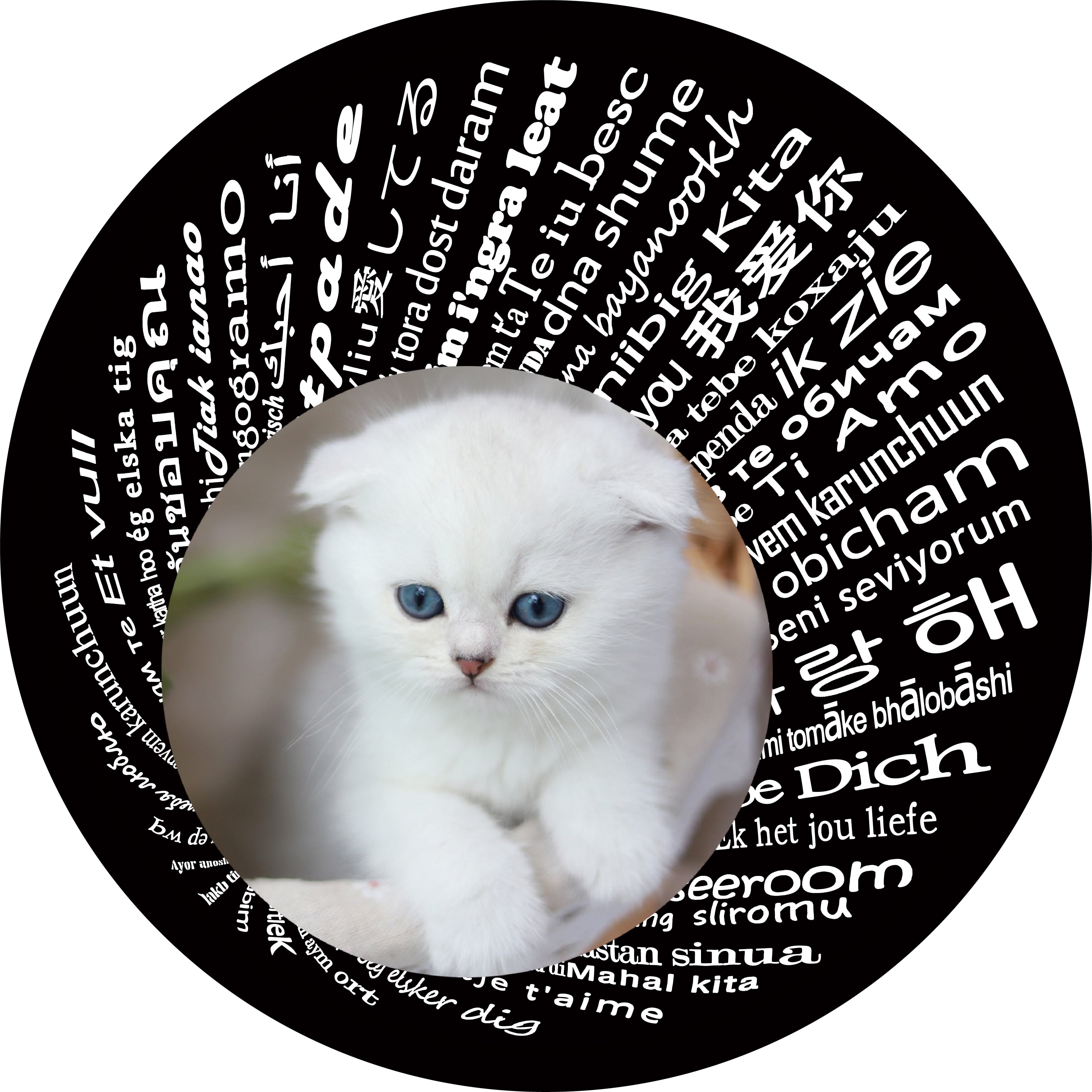 925 Silver Personalized Photo Projection Necklace Gold Petal Sunflower Flower Pendant Customized Photo Jewelry For Women - Charlie Dolly