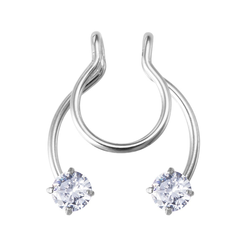 Fake Nose Ring Non Piercing Horseshoe Septum Piercing Magnetic Hoop Stainless Steel Reusable Magnet Punk for Women Jewelry Gifts - Charlie Dolly