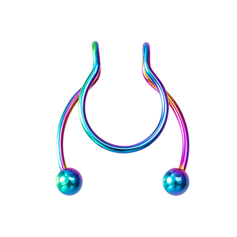 Fake Nose Ring Non Piercing Horseshoe Septum Piercing Magnetic Hoop Stainless Steel Reusable Magnet Punk for Women Jewelry Gifts - Charlie Dolly