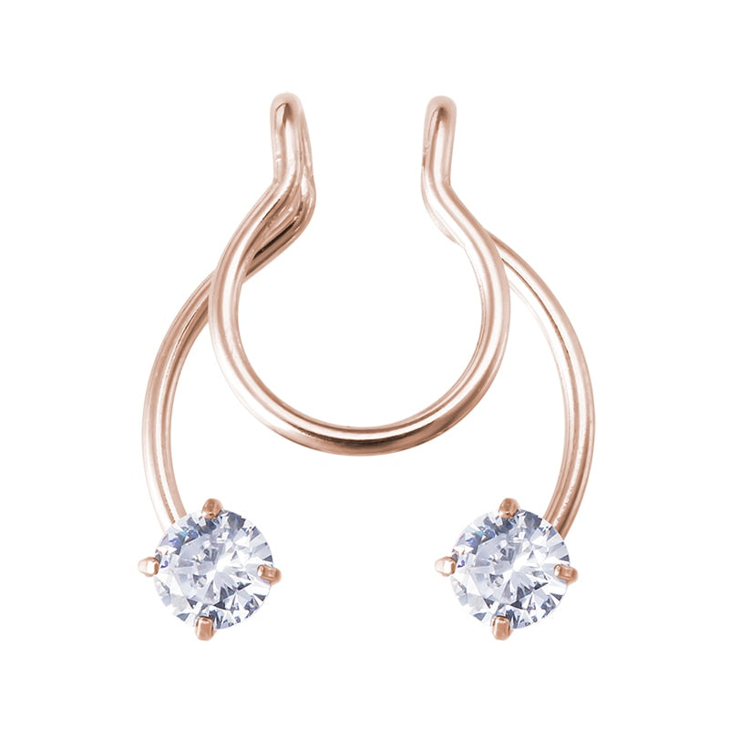 Fake Nose Ring Non Piercing Horseshoe Septum Piercing Magnetic Hoop Stainless Steel Reusable Magnet Punk for Women Jewelry Gifts - Charlie Dolly