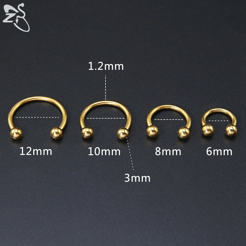 ZS 1 PC 316L Stainless Steel Nose Ring 14G 16G Nose Piercings Helix Ear Piercing Women Men Septum Rings Body Piercing  Jewelry - Charlie Dolly