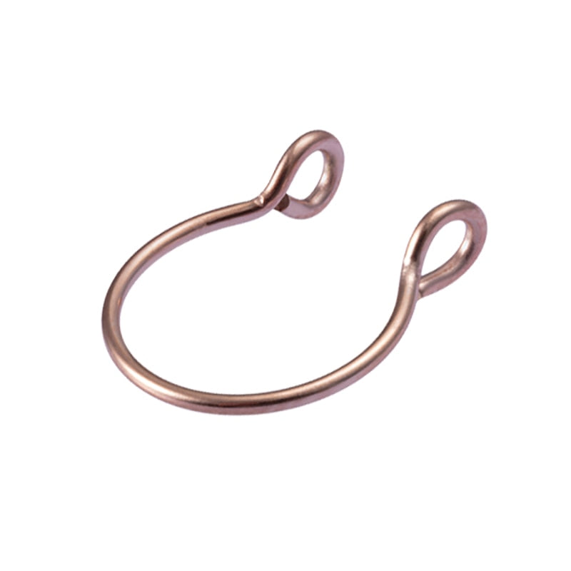 Fake Nose Ring Non Piercing Horseshoe Septum Piercing Magnetic Hoop Stainless Steel Reusable Magnet Punk for Women Jewelry Gifts - Charlie Dolly