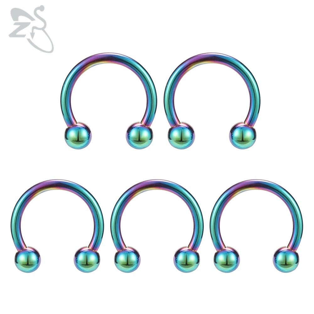 ZS 5 Pcs/lot Stainless Steel Nose Ring Spike Nose Piercings Helix Ear Piercing For Women Men Septum Rings Body Piercing  Jewelry - Charlie Dolly