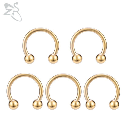ZS 5 Pcs/lot Stainless Steel Nose Ring Spike Nose Piercings Helix Ear Piercing For Women Men Septum Rings Body Piercing  Jewelry