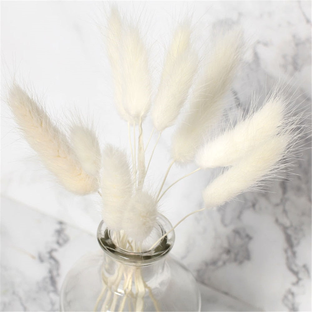 50 Pcs Pink Color Dried Pampas Flowers Rabbit Tail Grass Bouquets Lagurus Ovatus Natural Plants Home Wedding Decor Bunches - Charlie Dolly