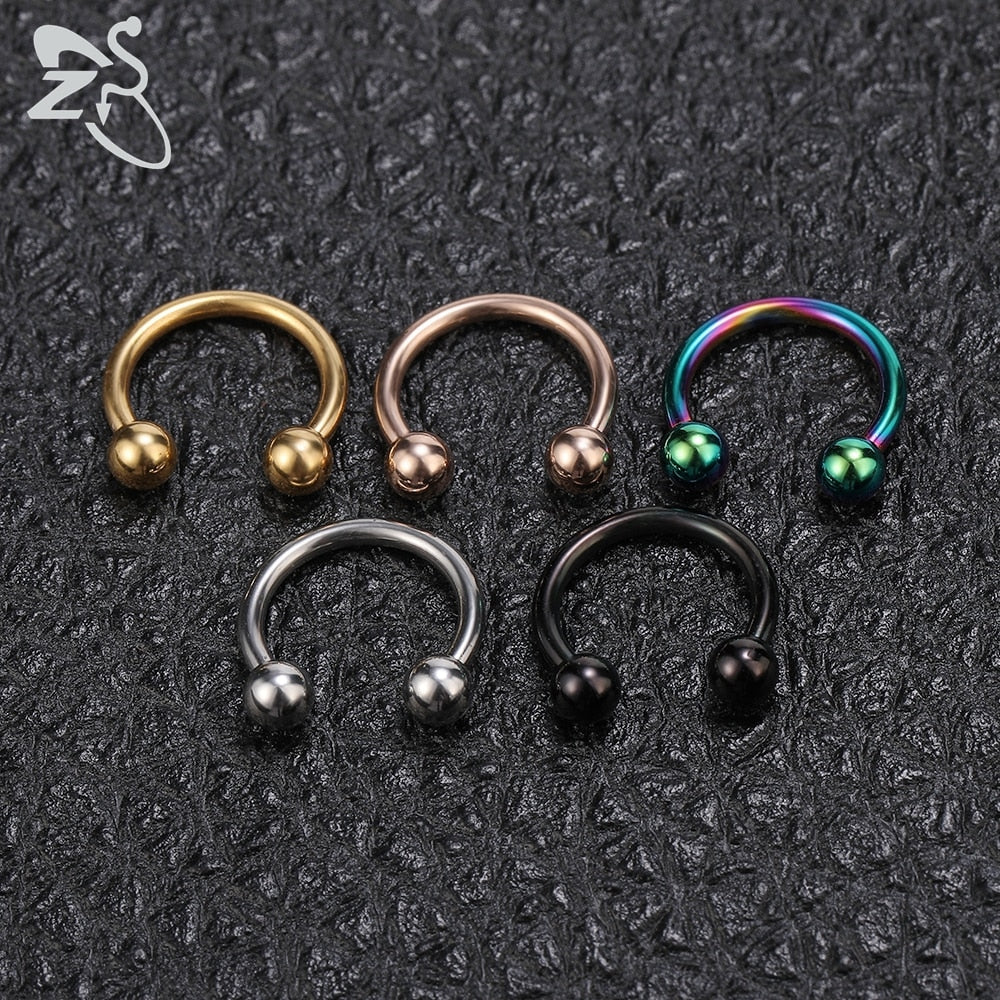 ZS 5 Pcs/lot Stainless Steel Nose Ring Spike Nose Piercings Helix Ear Piercing For Women Men Septum Rings Body Piercing  Jewelry - Charlie Dolly