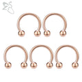 ZS 5 Pcs/lot Stainless Steel Nose Ring Spike Nose Piercings Helix Ear Piercing For Women Men Septum Rings Body Piercing  Jewelry - Charlie Dolly