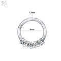 ZS 1 Piece 316L Stainless Steel Nose Ring 16G Zirconia Septum Clicker Rock Ear Helix Septum Piercing Rings Piercing  Jewelry 8mm - Charlie Dolly