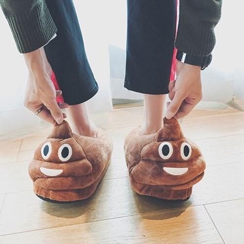 LLUUMIU Winter slippers women Shoes Warm Soft Indoor Slippers Men Plush Shoes Cute Funny Poop Home Flats Non-slip room slides - Charlie Dolly