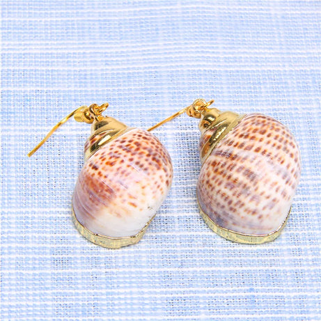 Natural Shell Scallop Drop Earrings Jewelry