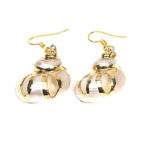 Natural Shell Scallop Drop Earrings Jewelry