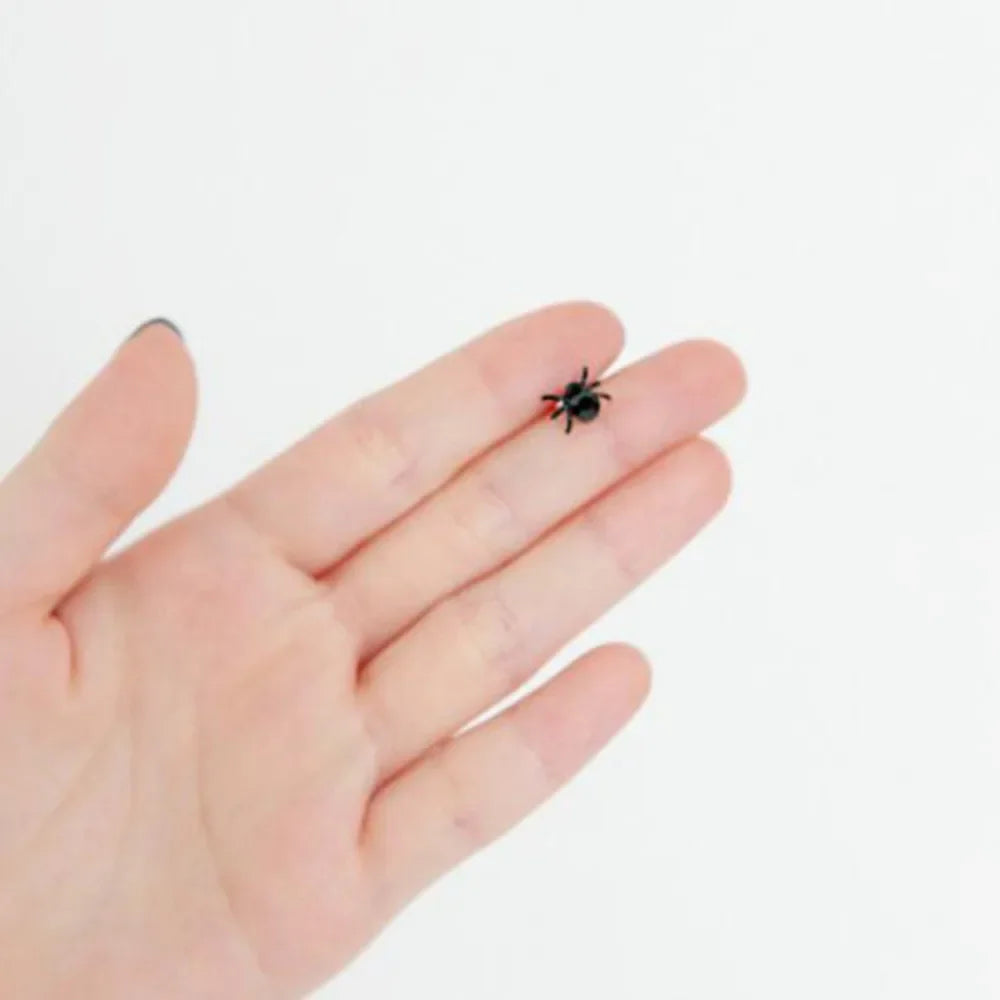 Simple Exquisite Black Spider Earrings for Men and Women Hip-hop Trend 3D Animal Halloween Jewelry Earrings Party Couple Jewelry - Charlie Dolly