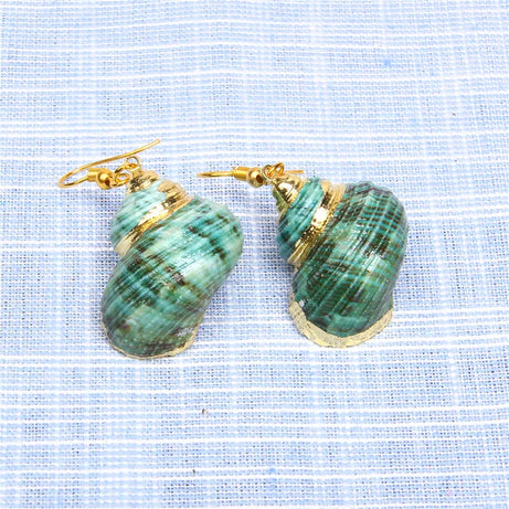 Natural Shell Scallop Drop Earrings Jewelry