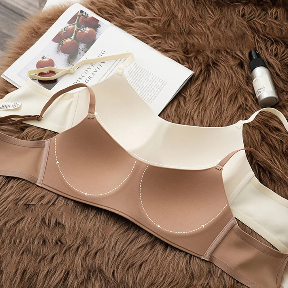 Women Push Up Bra For Small Breast Non-Wire Female Sexy Lingerie Solid Color Seamless Tube Top Bras Beauty Back Underwear Gather - Charlie Dolly