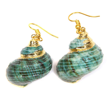 Natural Shell Scallop Drop Earrings Jewelry
