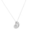 European and American Fashion Personality Simple Conch Necklace Snail Shell Pendant Collarbone Chain Jewelry Women Gift - Charlie Dolly