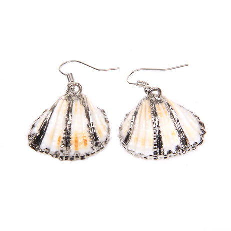 Natural Shell Scallop Drop Earrings Jewelry
