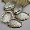 Natural Abalone Shell Pendant Beads Personality Ornaments For Jewelry Making DIY Necklace Earring Bracelet Handmade Accessories - Charlie Dolly